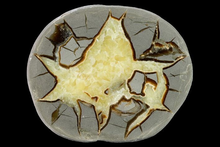 Polished Septarian Nodule Half - Utah #169375